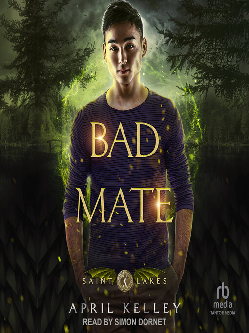 Cover image for Bad Mate